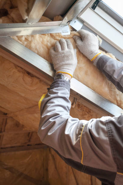 Best Geographic-Specific Insulation Services in Dalhart, TX